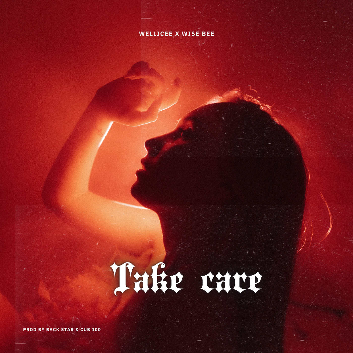 Take care (Ft  wise bee)