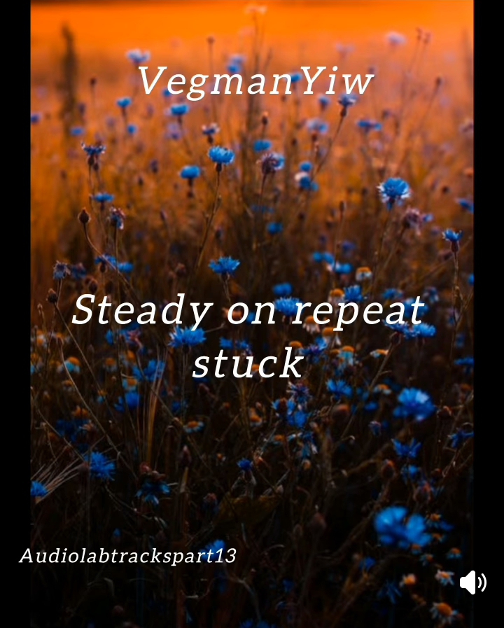 Steady on repeat stuck (Ft Audiolab)