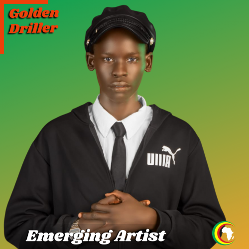 Emerging Artists