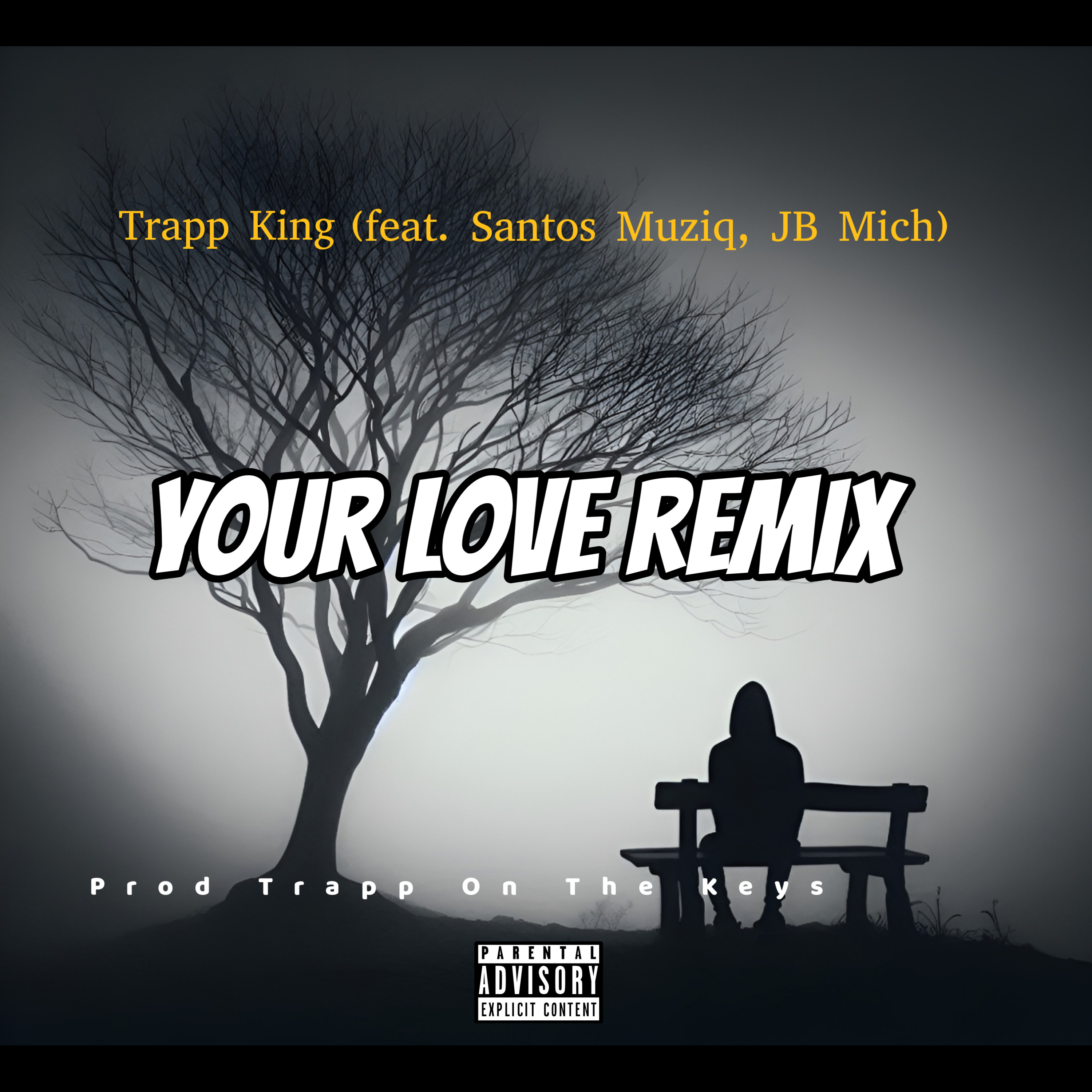 Your love (Remix) (Ft Santos Muziq & JB Mich)