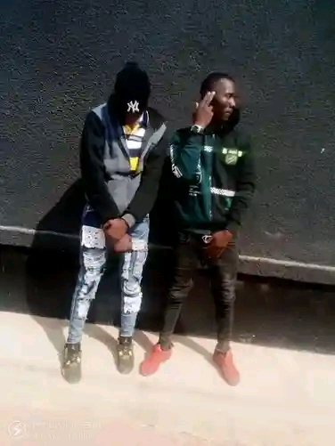 Chabalwala (Ft high fly)