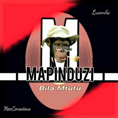 MAPINDUZI BILA MTUTU