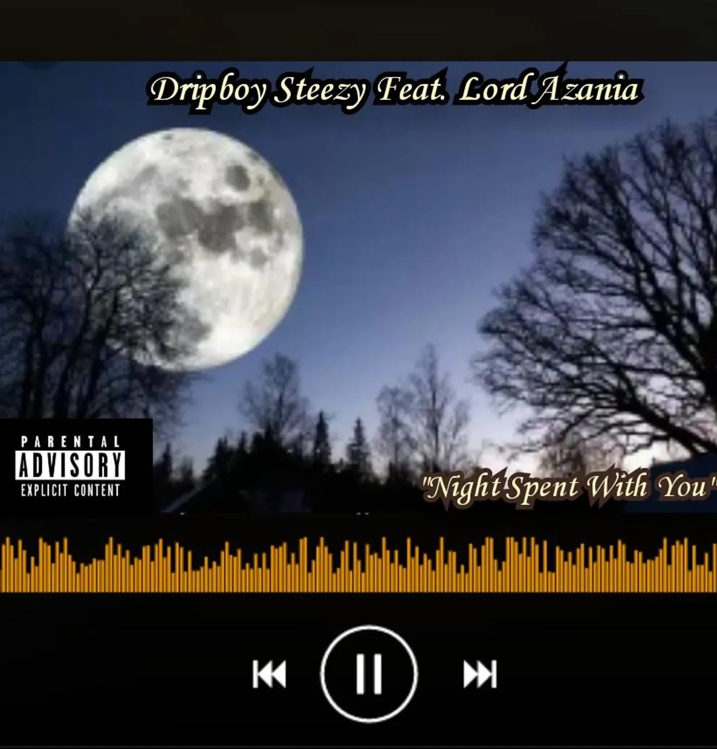 Night Spent With You (Ft Dripboy Steezy)