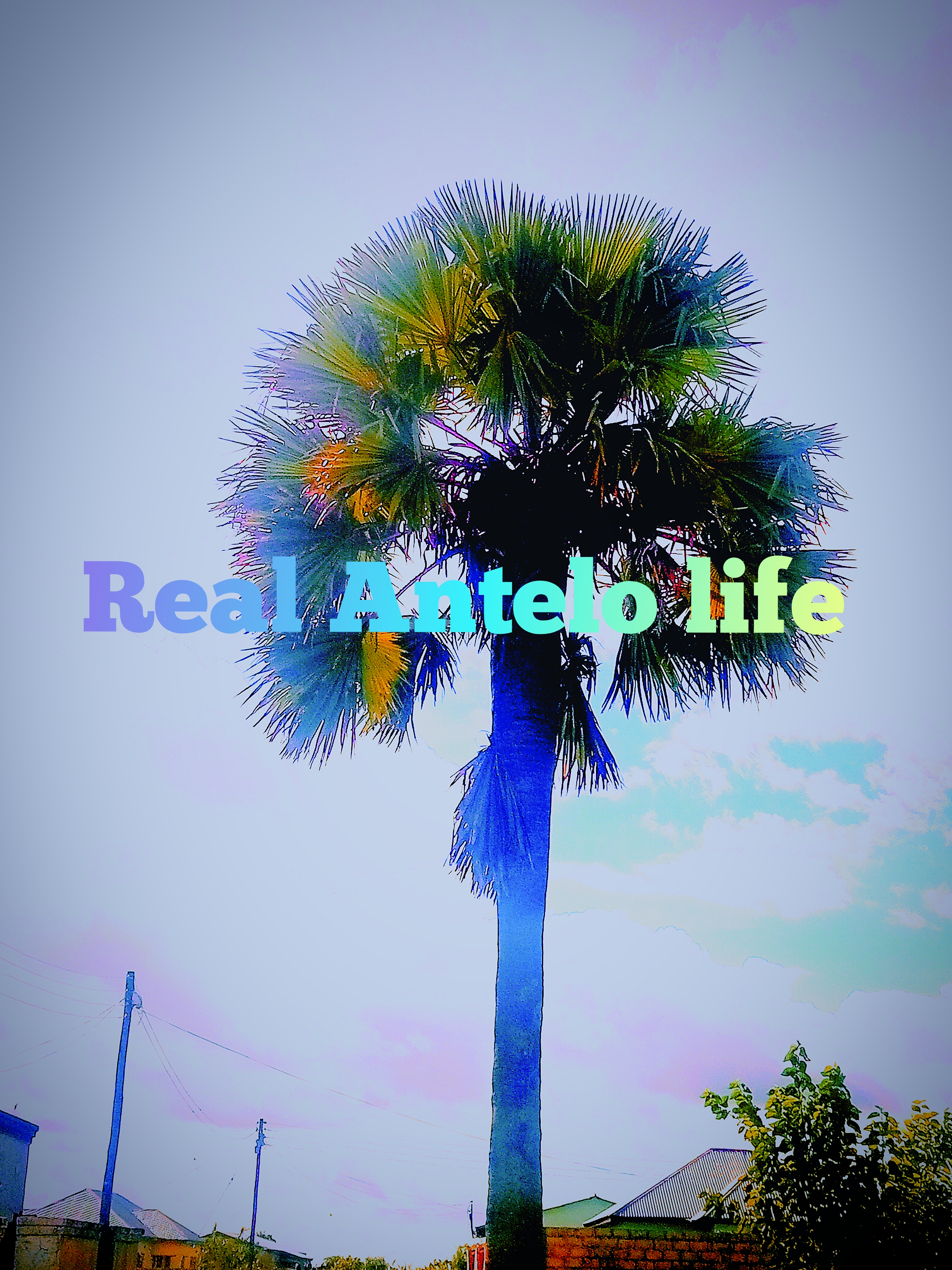 Life