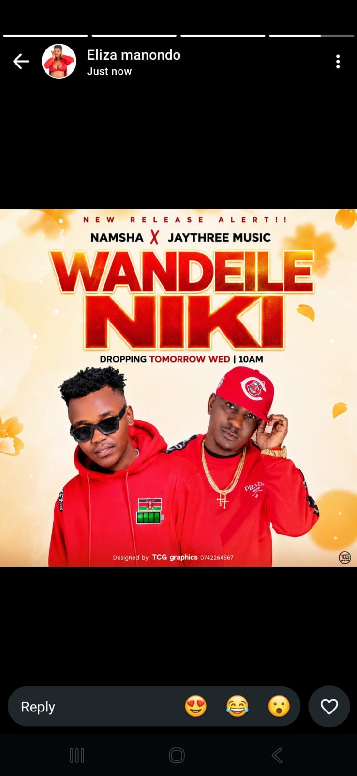 Wandeile nikii