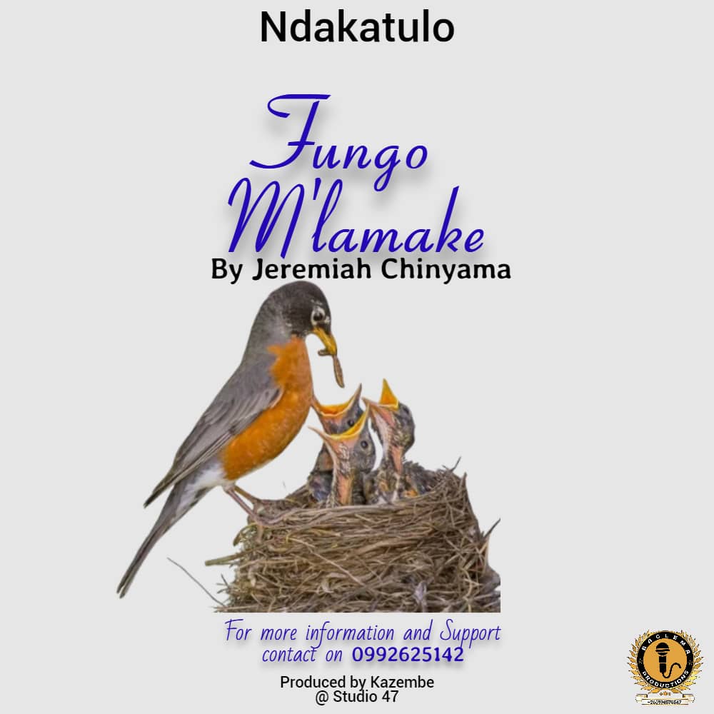 Fungo N'lamake
