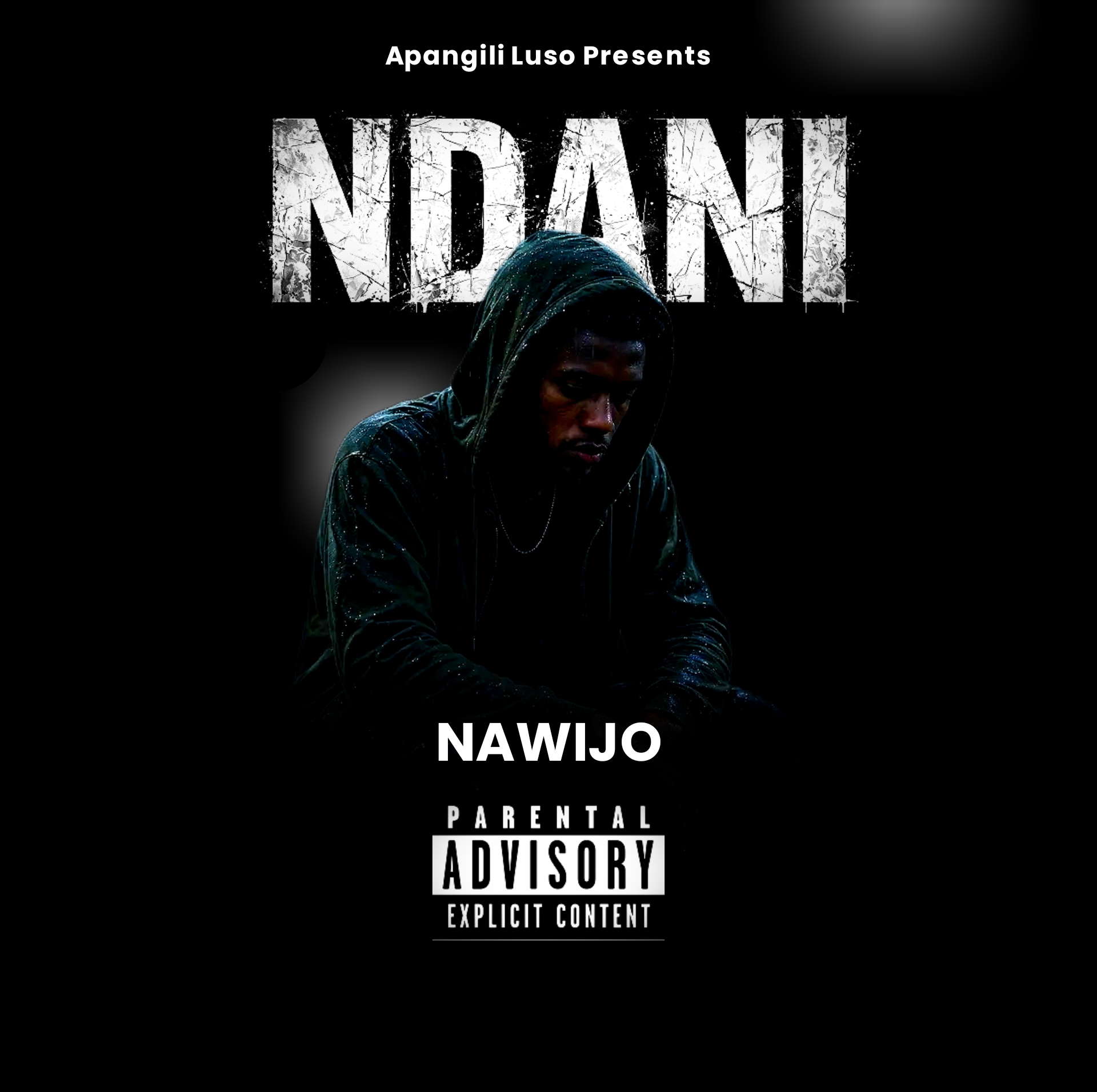 Ndani